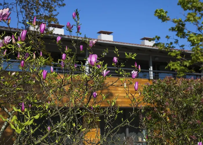 Apartamentos Casona de la Paca